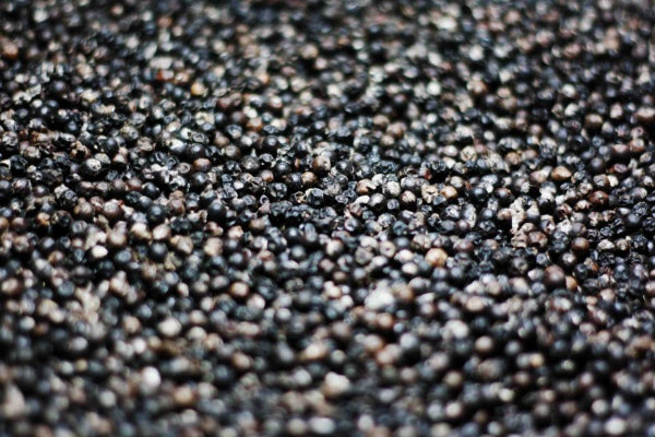 黒胡椒インドネシア産 Black Pepper from Indonesia – SOCO foods Co.,Ltd